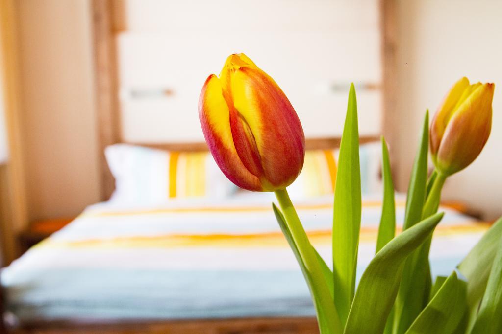 Solaria - In Au-schoppernau Apartment